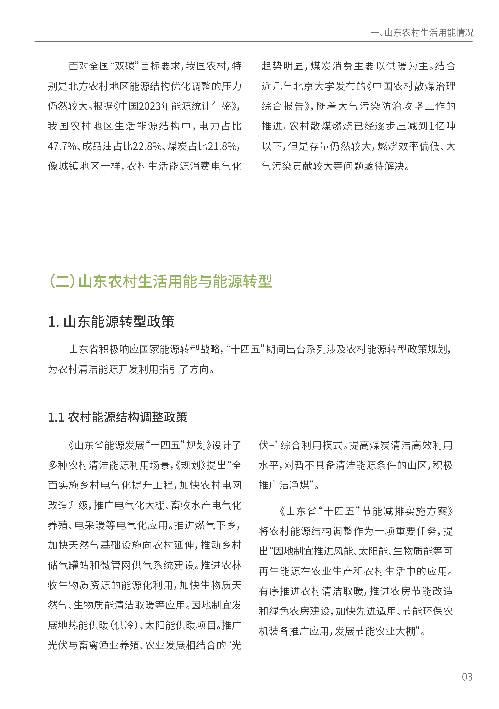 绿行齐鲁山东农村能源转型观察(2024-2025)
